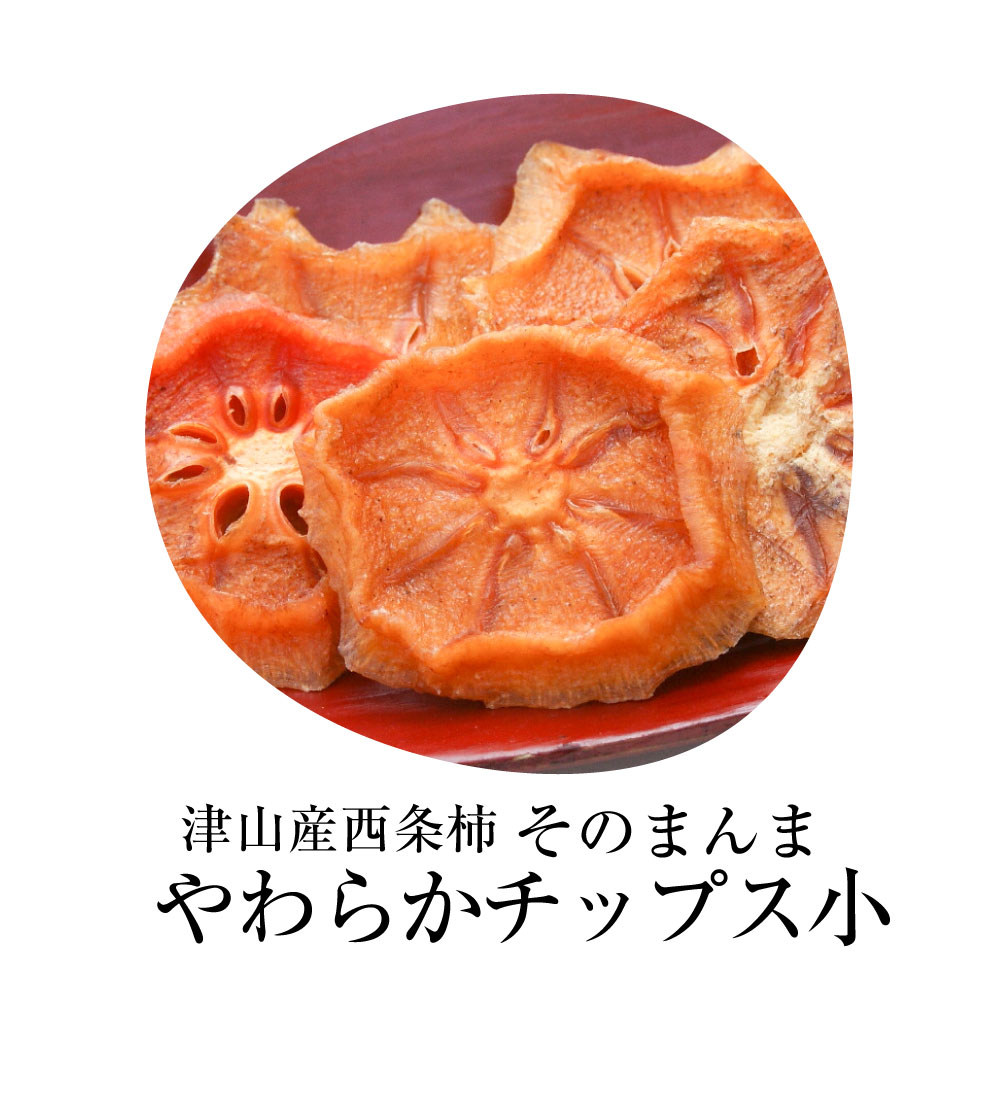 津山産西条柿のおいしさそのまんまやわらかチップス小
